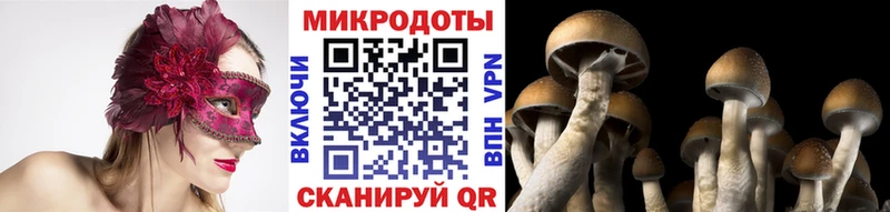 Галлюциногенные грибы ЛСД  MEGA сайт  Химки 